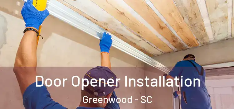  Door Opener Installation Greenwood - SC