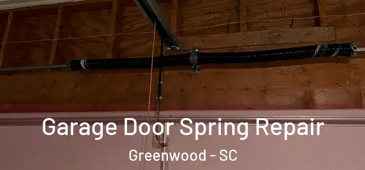  Garage Door Spring Repair Greenwood - SC
